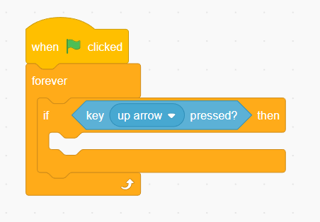 Scratch step 4 block setup